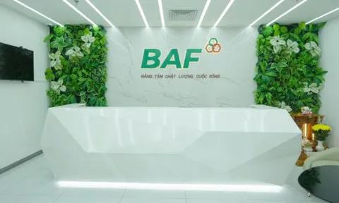 Lý do BAF Việt Nam bị xử phạt