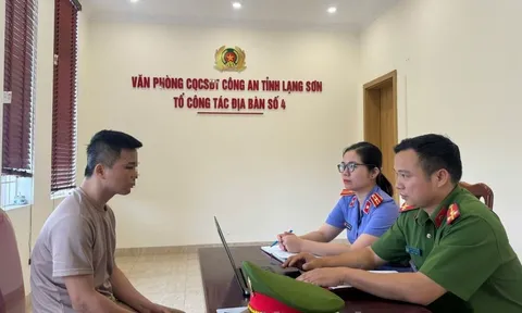 Bị khởi tố vì đi bộ sang đường không đúng quy định gây tai nạn
