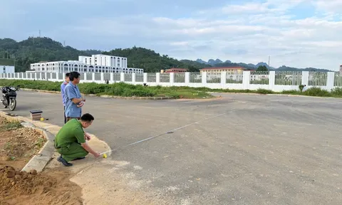 Xót cây chuối bị dê gặm lá, Lương Văn Xuân vướng vòng lao lý từ một quyết định sai lầm