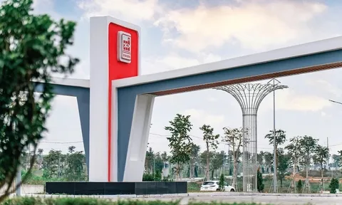 Lam Sơn – Sao Vàng: Mười năm chờ, và lý do năm 2026 không thể chờ thêm