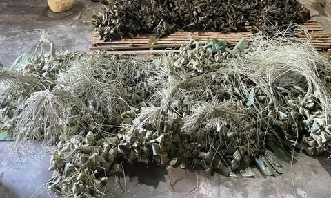 Phát hiện cơ sở sản xuất bánh ú tro trộn chất cấm chuẩn bị bán Tết Đoan Ngọ: Công an thu giữ 3.000 thành phẩm