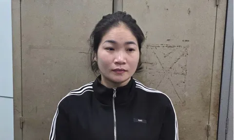 Lừa hơn 4,6 tỷ đồng bằng chiêu nhận làm hộ sổ đỏ: "Nữ quái" Lê Thị Hạnh lộ diện