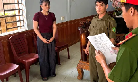 Mua lợn chết vì dịch tả châu Phi về giết mổ bán cho người dân: Nguyễn Thị Trang và 2 người khác bị khởi tố