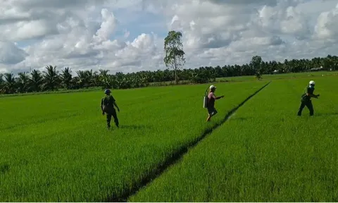 Phun thuốc diệt cỏ vào công an, Đặng Thị Chim Chuyền cùng 2 người thân bị xử lý ra sao?