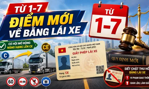 Bổ sung thêm hành vi bị thu hồi giấy phép lái xe từ 1/7
