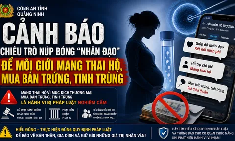 Chiêu trò núp bóng "nhân đạo" để môi giới mang thai hộ, mua bán trứng