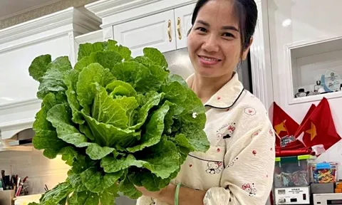 Mẹ 5 con ở Quảng Ninh biến sân thượng thành khu vườn, 11 năm gần như không mua rau ngoài chợ 