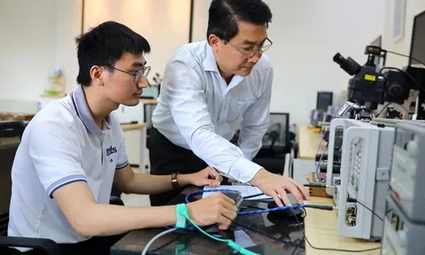 Ngành học được “săn đón” nhất hiện nay: Khát 50.000 nhân lực, học bổng hơn 100 triệu đồng/năm, nhiều trường top tăng tốc tuyển sinh