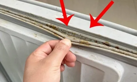 Tủ lạnh có mùi hôi, hao điện bất thường? Thủ phạm có thể nằm ở gioăng cao su ít ai để ý