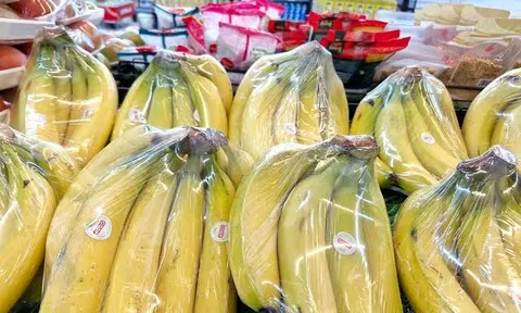 Vì sao chuối trong siêu thị thường bán nải 3-6 quả thay vì nguyên cả buồng?