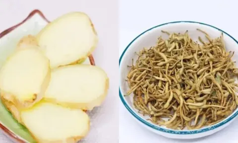 4 thực phẩm 'rẻ như bèo' được ví là "kháng sinh tự nhiên" giúp hỗ trợ giảm viêm, tăng sức đề kháng, nhiều người bỏ qua