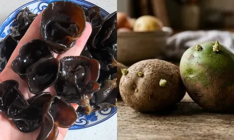5 loại thực phẩm nấu chín vẫn không hết độc tố, nên bỏ ngay nếu không muốn đối mặt nguy cơ ngộ độc