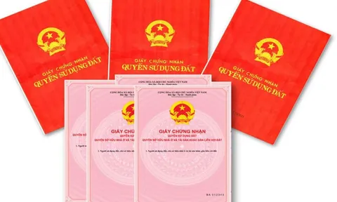 Từ 31/8, người dân cần biết 4 thay đổi lớn về xử phạt vi phạm đất đai: Thẩm quyền xử phạt tăng gấp 50 lần