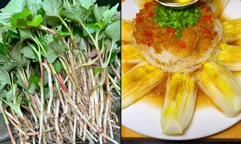 Nhiều người sợ ăn 5 loại rau này vì lo ung thư, sự thật khiến không ít người bất ngờ