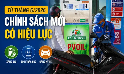 Loạt chính sách mới có hiệu lực từ tháng 6/2026: Bắt buộc bán xăng E10, siết xác thực thuê bao