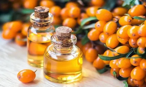 Ít người biết loại quả này được mệnh danh là "thần dược" cho làn da, nhiều mỹ phẩm cao cấp đều có mặt