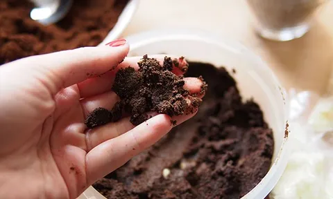 Nhiều người đặt bã cà phê vào tủ lạnh, lý do phía sau khiến ai cũng bất ngờ