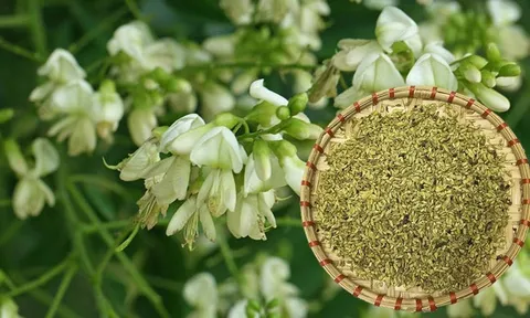 Loại nụ hoa quen thuộc được ví là "thuốc cầm máu" trong Đông y, nhưng không phải ai cũng dùng được