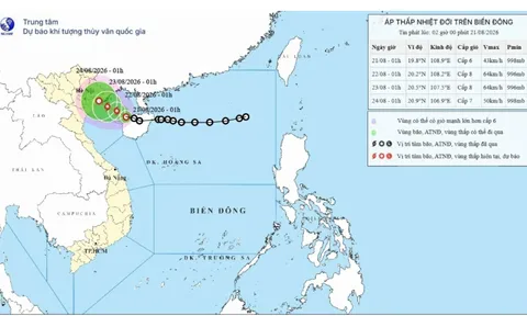 Áp thấp nhiệt đới trên Vịnh Bắc Bộ có khả năng mạnh lên thành bão, gió giật cấp 10