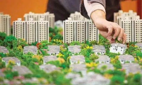 Bộ Nông nghiệp và Môi trường: Đề xuất 18 lĩnh vực hạn chế người thôi chức quản lý doanh nghiệp