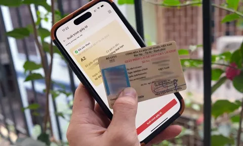 Những trường hợp nào được cấp, đổi, cấp lại giấy phép lái xe?