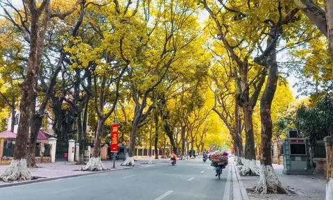 Việt Nam lọt top 4 điểm đến mùa thu đẹp nhất năm 2026