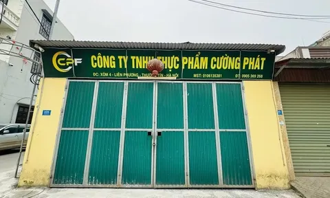 Công ty Suất ăn công nghiệp Hà Nội cung cấp thịt lợn của Cường Phát cho hai trường học là trường nào?