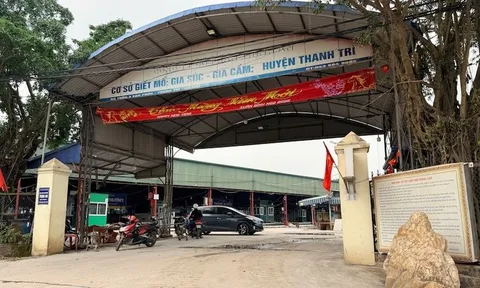Vụ gần 300 tấn lợn bệnh vào bếp ăn trường học và chợ dân sinh:  Cán bộ kiểm dịch đã "vòi tiền" như thế nào?