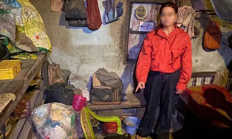 Danh tính người phụ nữ sinh năm 1994 ăn trộm gần 80 triệu đồng của cụ ông 106 tuổi