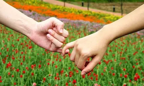 Vợ cũ liên tục nhắn tin đòi nối lại tình xưa khi biết tôi có bạn gái mới