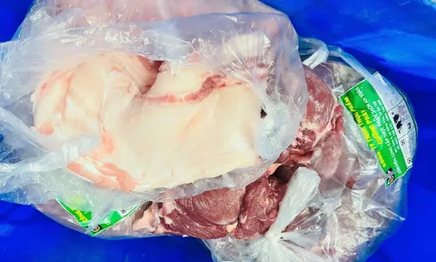 Phường Thanh Liệt (Hà Nội) rà soát 17 trường học trên địa bàn, chỉ đích danh tên trường nhập thịt lợn bệnh của công ty Cường Phát