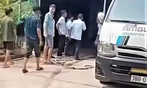 Video chó nặng khoảng 40kg xổng chuồng, tấn công người chủ 75 tuổi tử vong: Công an đang xác minh