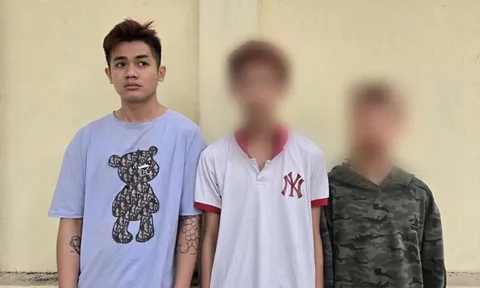 Bắt giữ Vũ Việt An