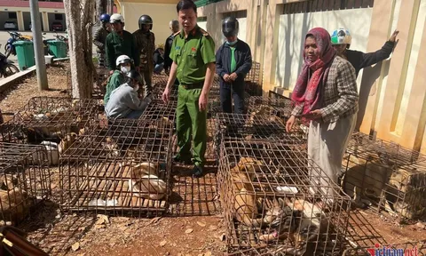 Bắt Phạm Tuấn Giang và Phạm Minh Cường, lộ hành vi tàn nhẫn với 70 con chó