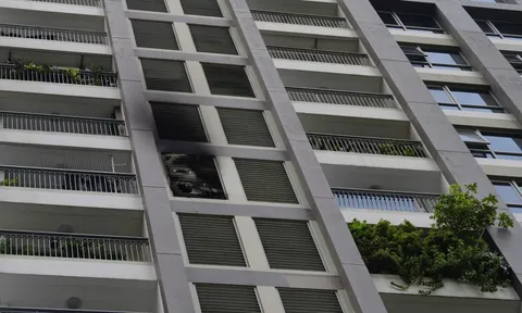 Nguyên nhân ban đầu vụ cháy căn hộ tầng 10 chung cư cao cấp ở TPHCM