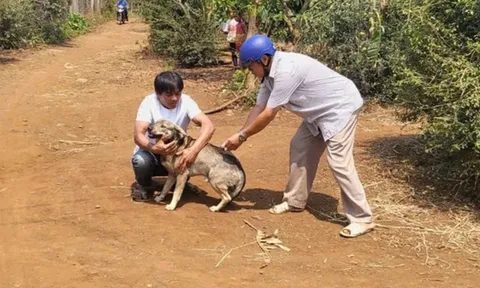 Người đàn ông ở Đắk Lắk bị chó nghi dại cắn nhưng lại kiên quyết từ chối tiêm vaccine dù được hỗ trợ kinh phí