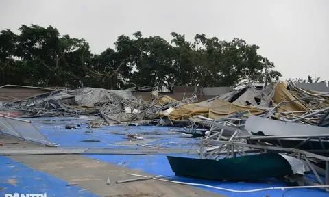 Sportbase Arena, chủ cụm 22 sân pickleball tại đường Quang Liệt (phường Thanh Liệt, Hà Nội), vừa lên tiếng nói về điều gì gây chú ý?