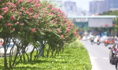 Dự báo thời tiết ngày 16/4: Ngày nắng nóng, đêm lạnh xuống còn bao nhiêu độ?