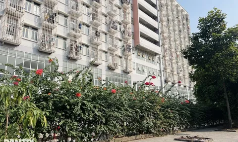 Danh tính nữ sinh viên 20 tuổi tử vong ở ký túc xá TPHCM, chi tiết nhói lòng được phát hiện ở tầng 6