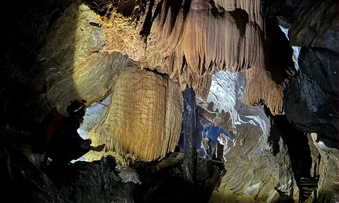 Sự kỳ bí của hang Chả Nghéo tại Vườn quốc gia Phong Nha - Kẻ Bàng, chuyên gia Anh nói gì về sức hút đặc biệt với người thám hiểm?