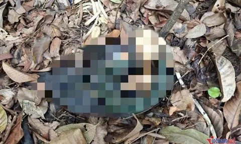 Hé lộ điều sót lại ở nơi phát hiện bộ xương người trong vườn quốc gia Tà Đùng (tỉnh Lâm Đồng)