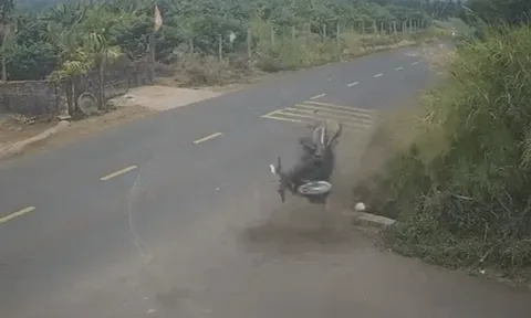 Vụ tai nạn làm nam sinh lớp 12 ở Đắk Lắk tử vong: Thông tin mới nhất của Cục CSGT về chiếc xe máy