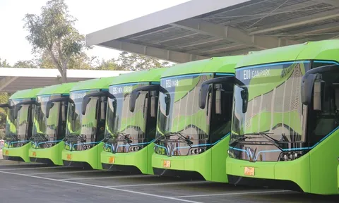 Hà Nội vận hành thêm 10 tuyến xe buýt điện từ 1/4