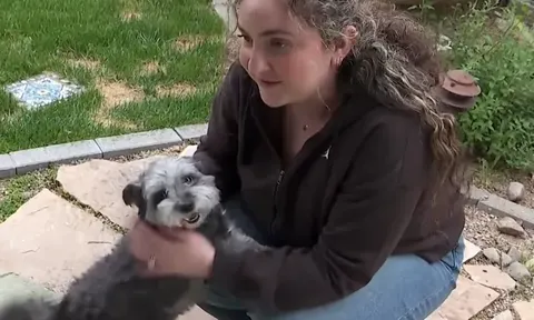 Mất tích suốt 5 năm, chú chó bất ngờ xuất hiện trở lại khiến chủ nhân không kìm được nước mắt