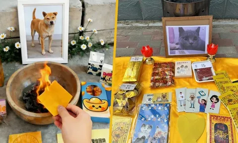 Không chỉ chôn cất, nhiều người còn mua cả tiền, đồ ăn cao cấp bằng giấy để “gửi xuống” cho thú cưng khiến ai nghe cũng bất ngờ