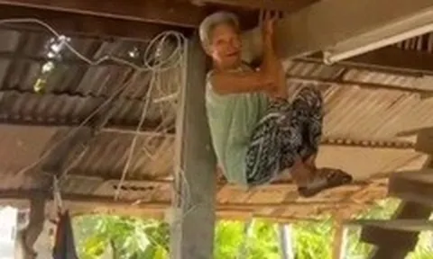 Clip: Thấy rắn bò vào sân, cụ bà khó đi lại vẫn kịp đu lên xà nhà trong tích tắc khiến cả gia đình sững sờ
