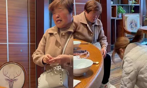 Tưởng là ngày đoàn tụ cảm động sau gần 4 thập kỷ xa cách, nhưng một câu nói của mẹ khiến con gái phải quỳ xuống, van xin cắt đứt quan hệ