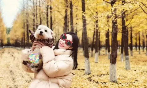 Thú cưng bị đầu độc, người phụ nữ bỏ việc chỉ để theo đuổi một câu trả lời suốt 3 năm ròng