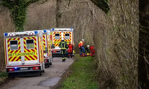 Đi săn trứng Phục sinh trong rừng, 3 người tử vong thương tâm khi cây lớn bất ngờ bật gốc