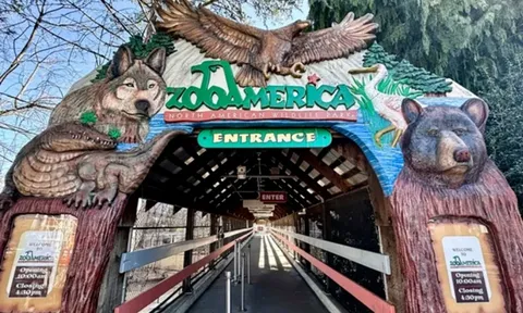 Chỉ vài phút lơ là của cha mẹ, bé 17 tháng tuổi bò vào khu vực cấm, bị sói ngoạm trúng tay tại vườn thú ở Mỹ